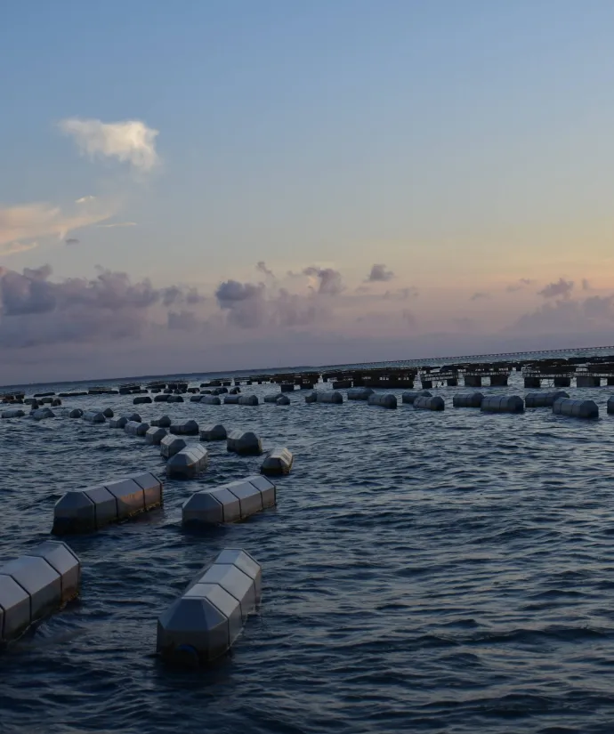 Multiple Harvest Zones