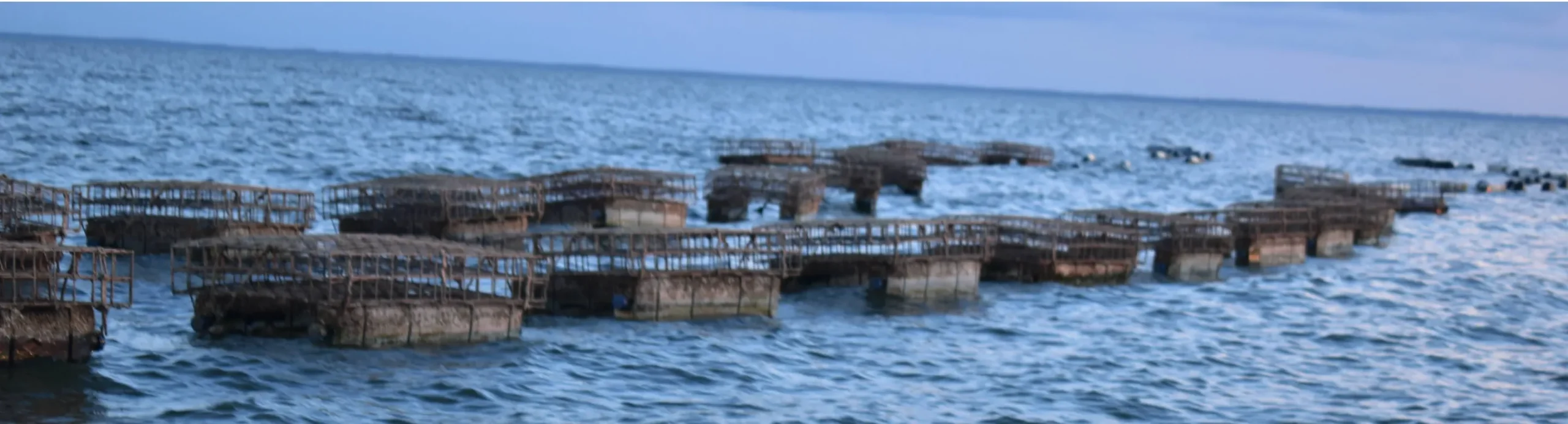 Taste Difference Background Image